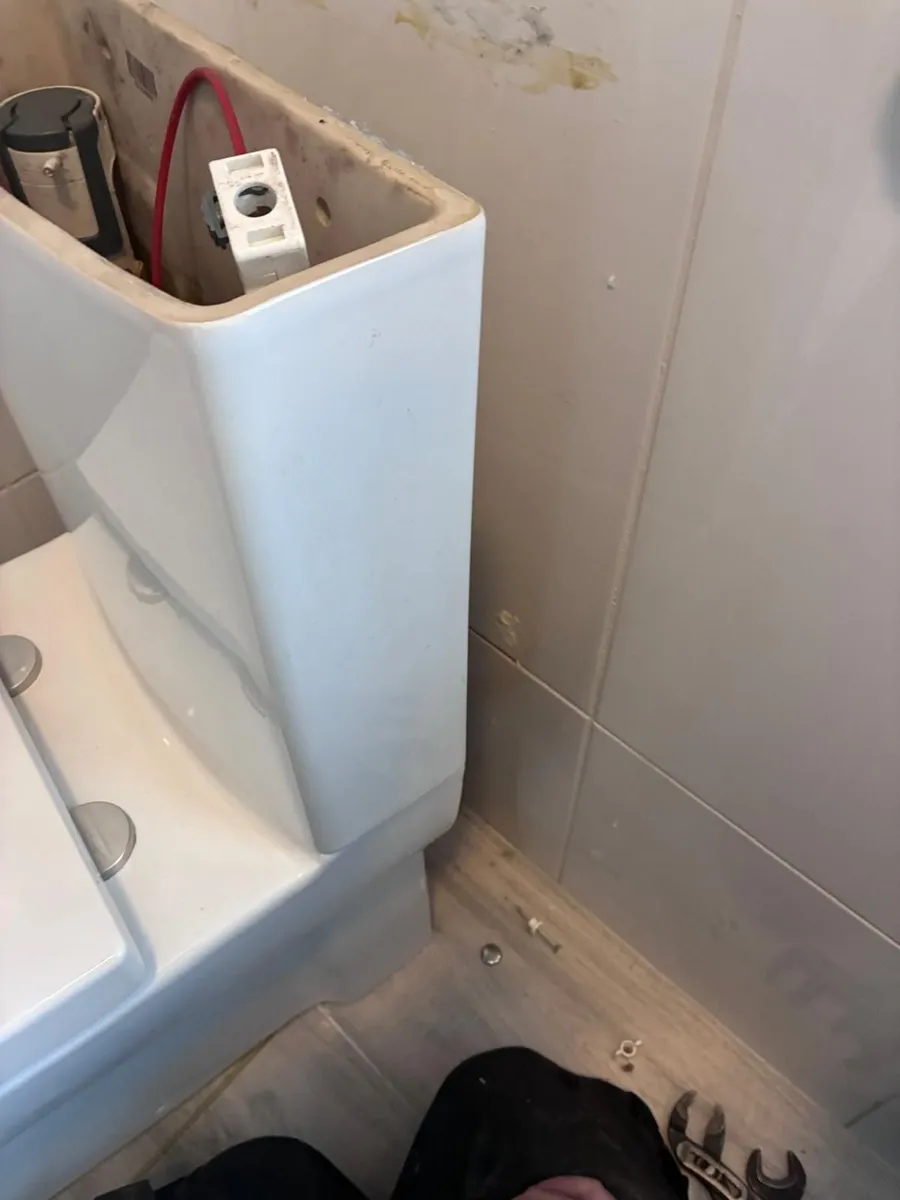 Toilet and cistern fully shrouded - free - Image 1