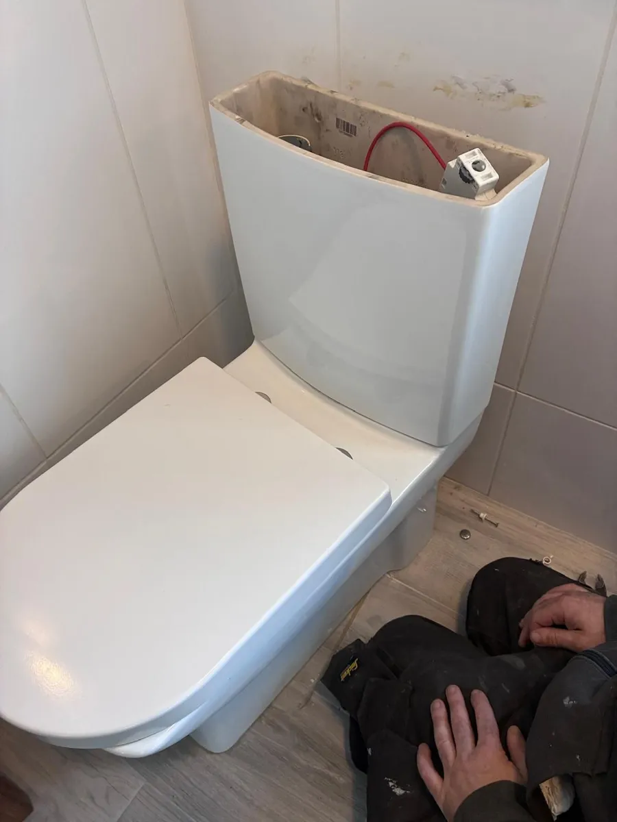 Toilet and cistern fully shrouded - free - Image 2