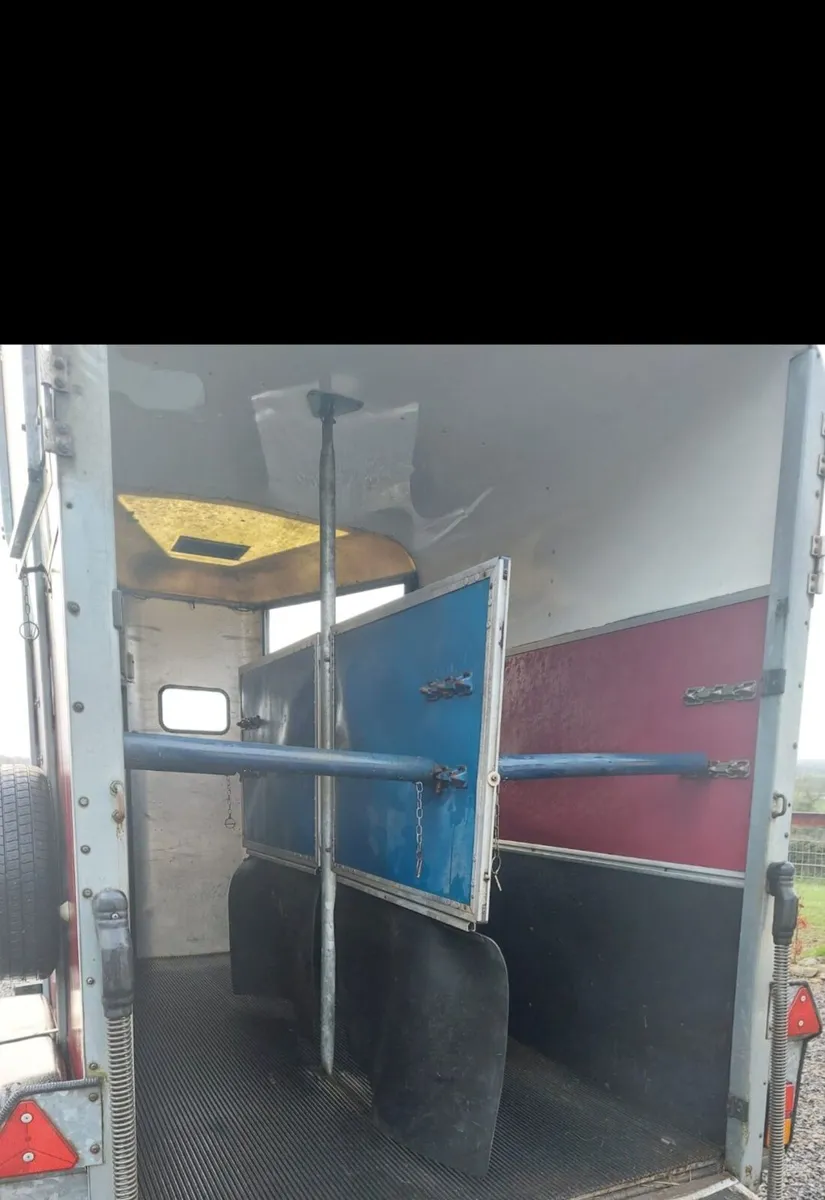 Ifor Williams 505 Horsebox - Image 4
