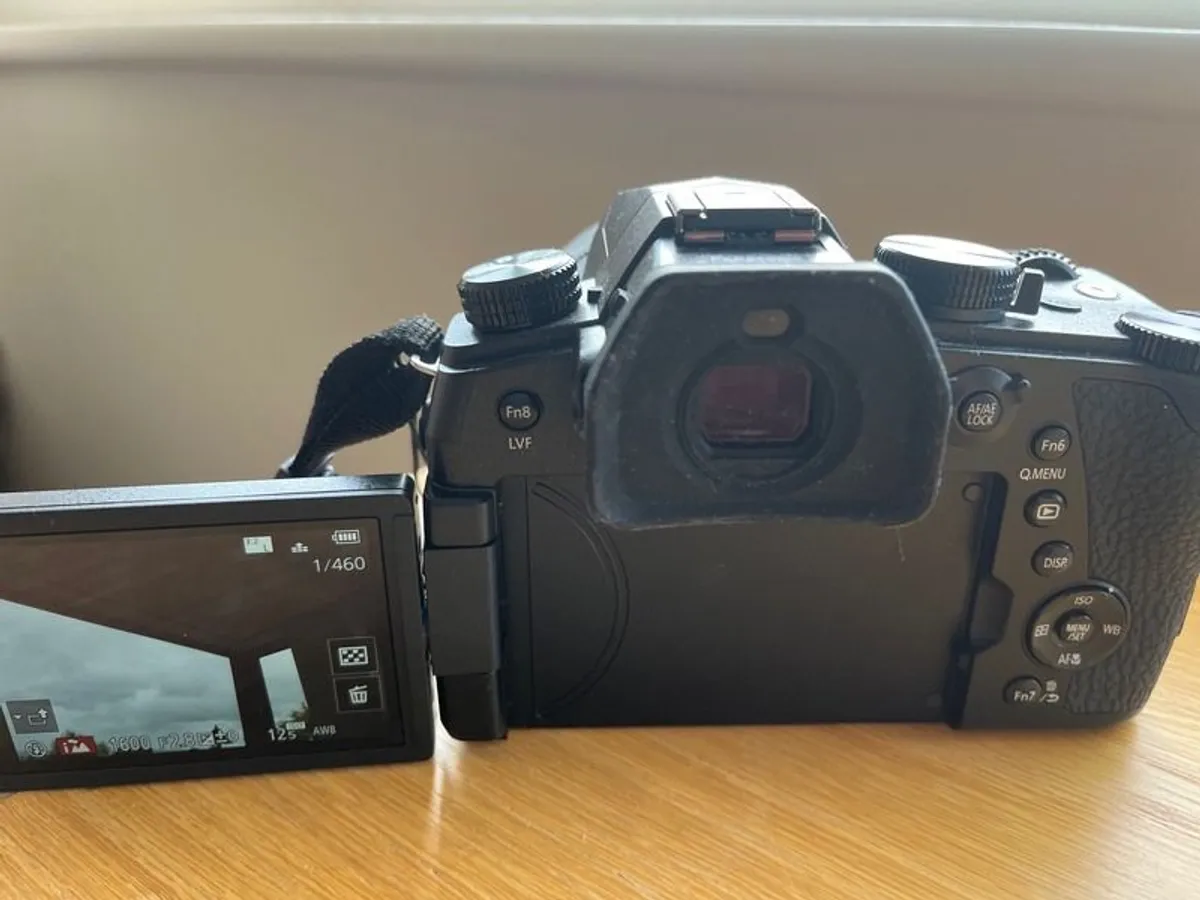 Panasonic Lumix DC-FZ1000 II - Image 2