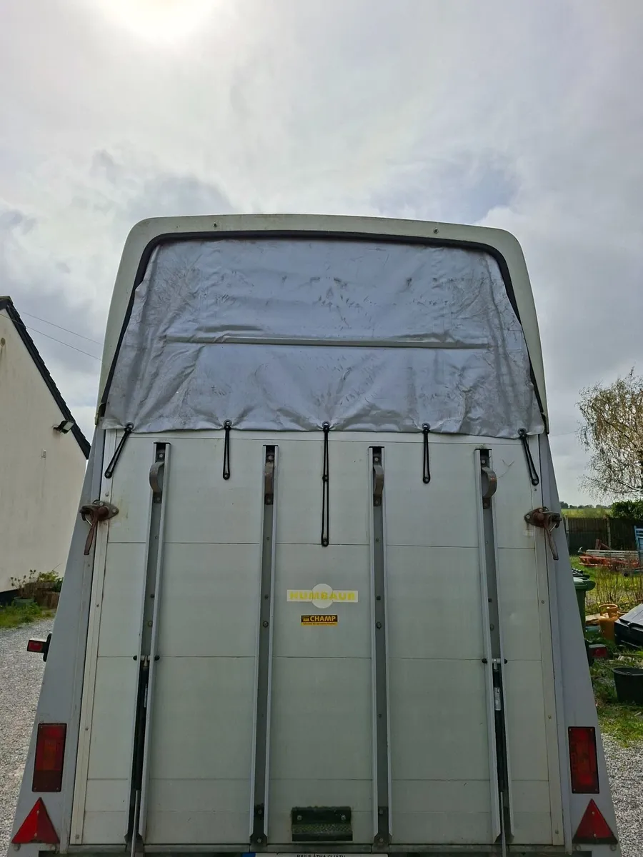 German Humbaur Double horsebox for sale - Image 4