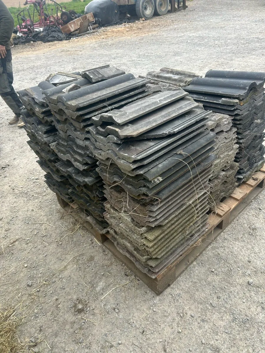 Roof tiles - Image 2