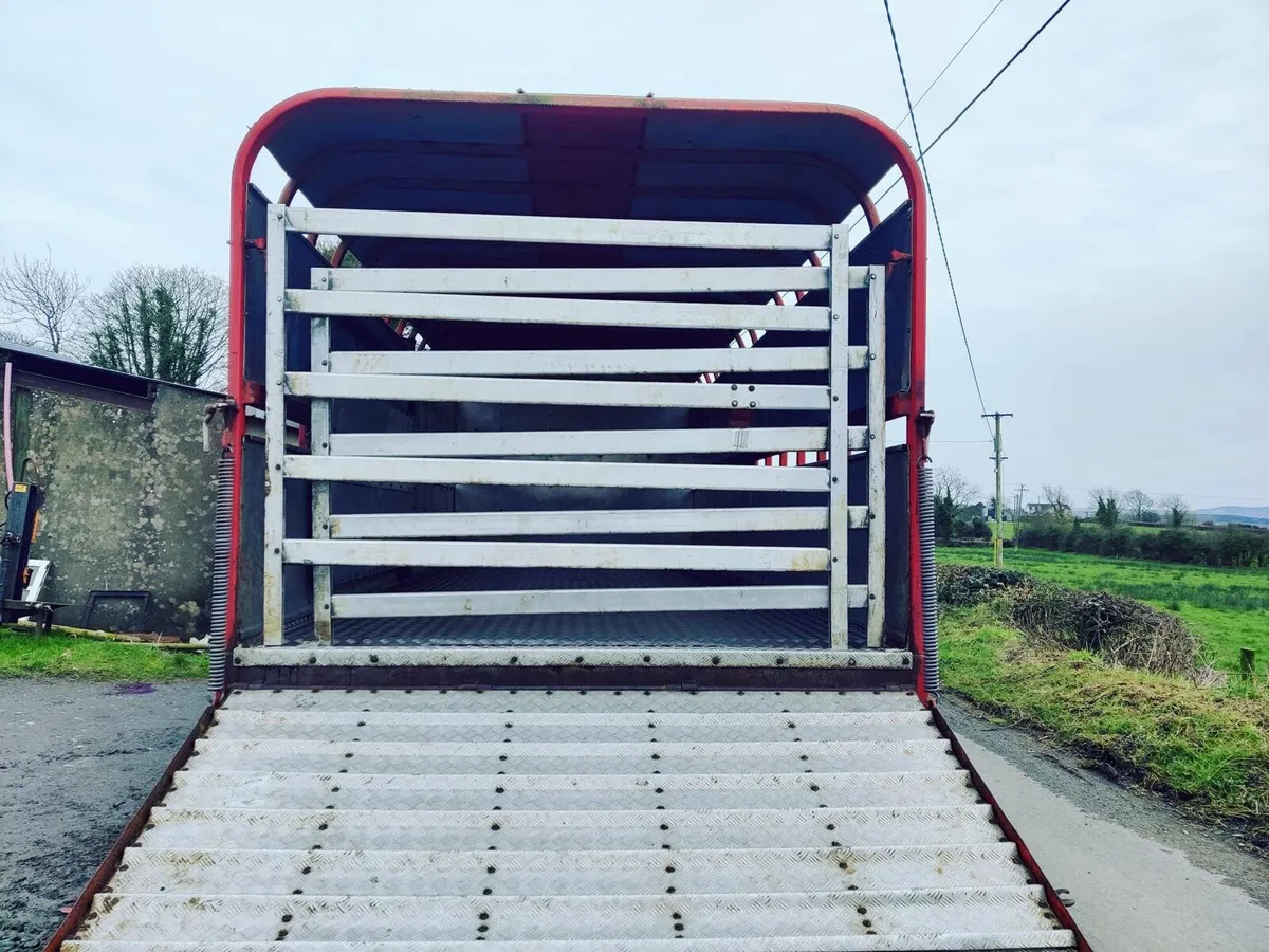 20ft Johnson cattle trailer - Image 4