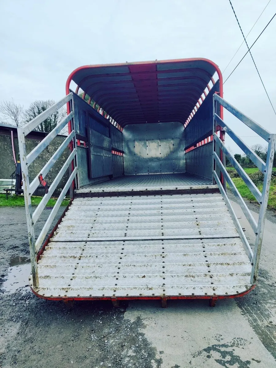20ft Johnson cattle trailer - Image 3