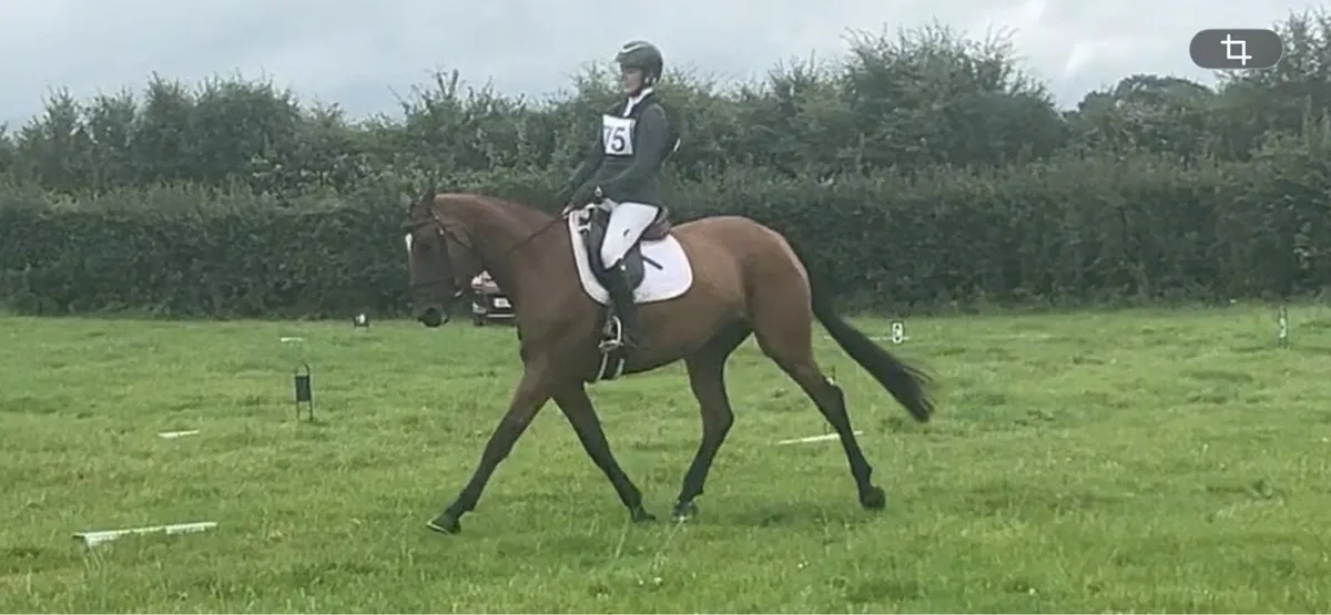 Ready to compete straight away!! - Image 3