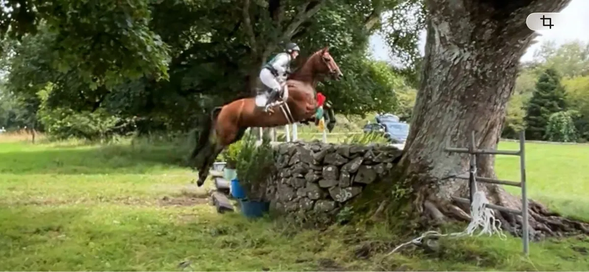 Ready to compete straight away!! - Image 4