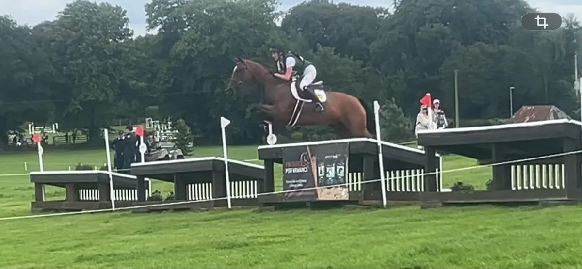 Ready to compete straight away!! - Image 1