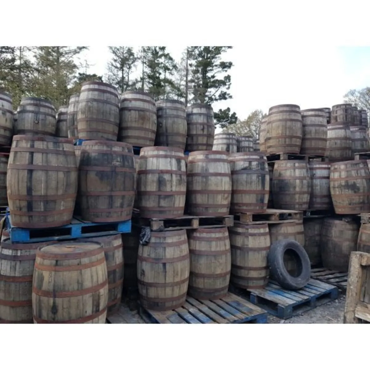 Whiskey Barrels - Image 1