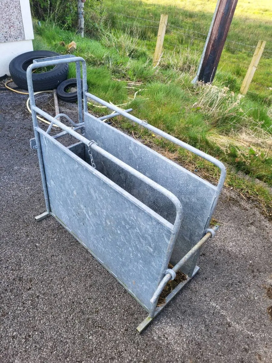 Dehorning Crate - Image 1