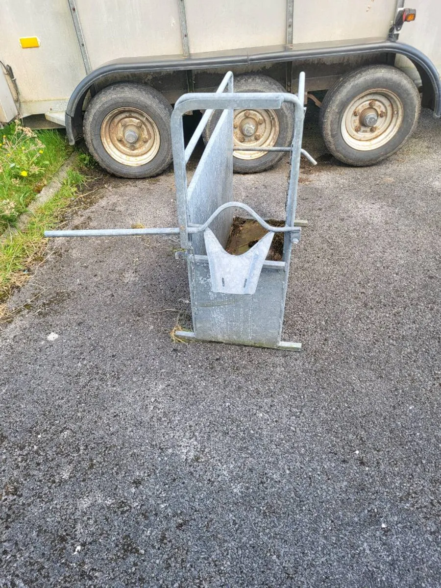 Dehorning Crate - Image 2