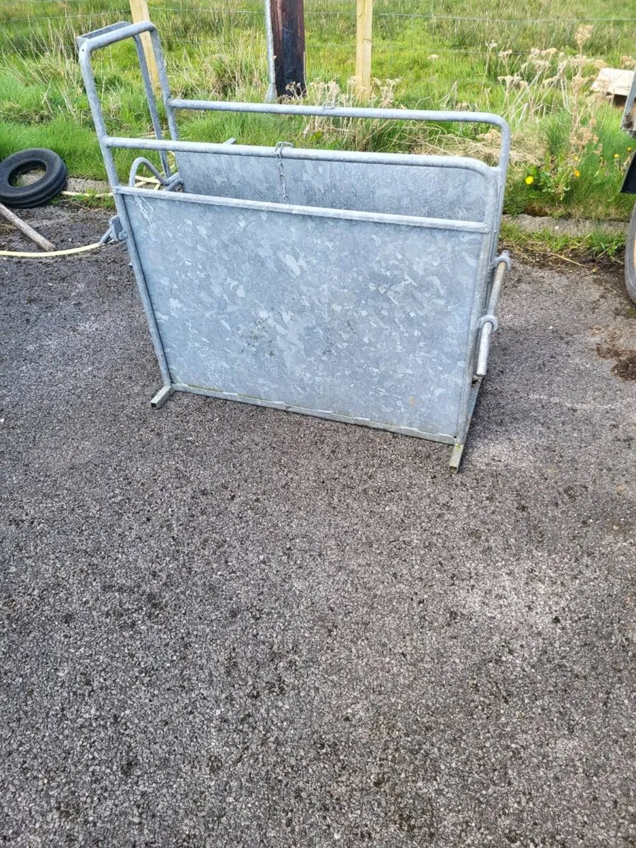 Dehorning Crate - Image 3