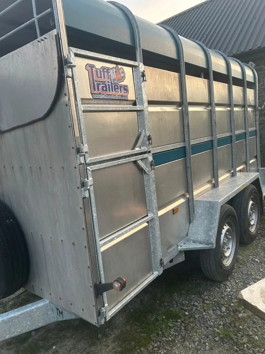 12x6 tuffmac cattle trailer - Image 1