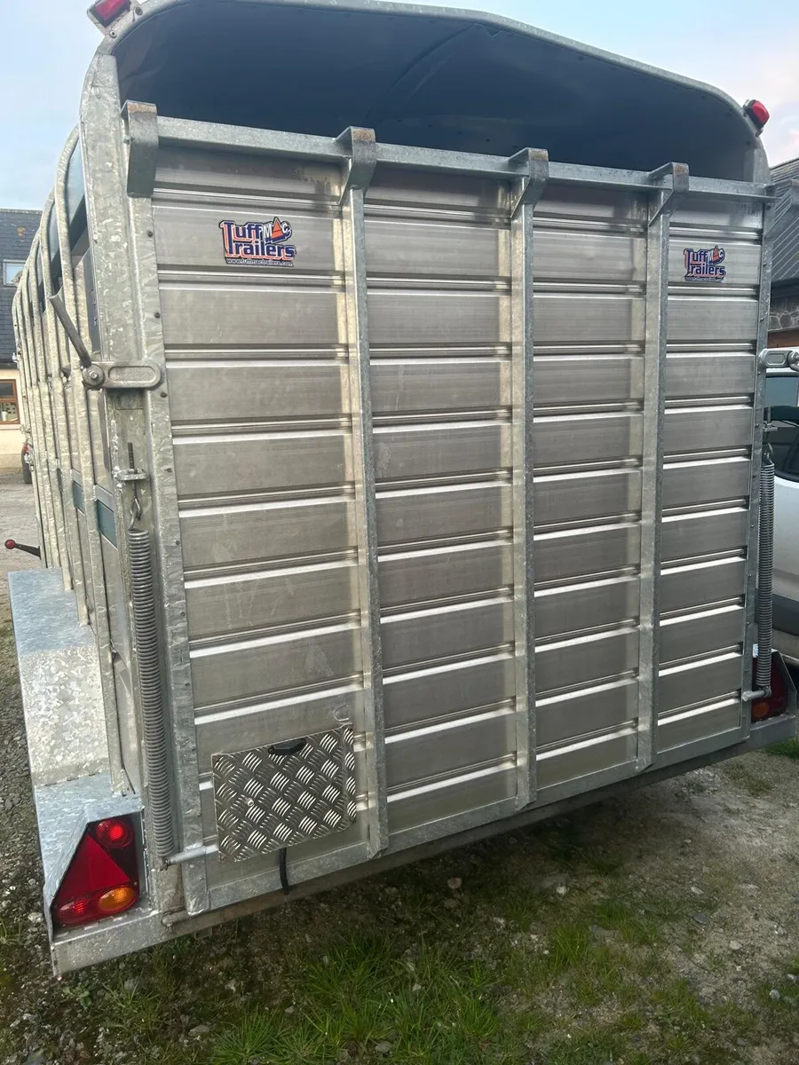12x6 tuffmac cattle trailer - Image 2