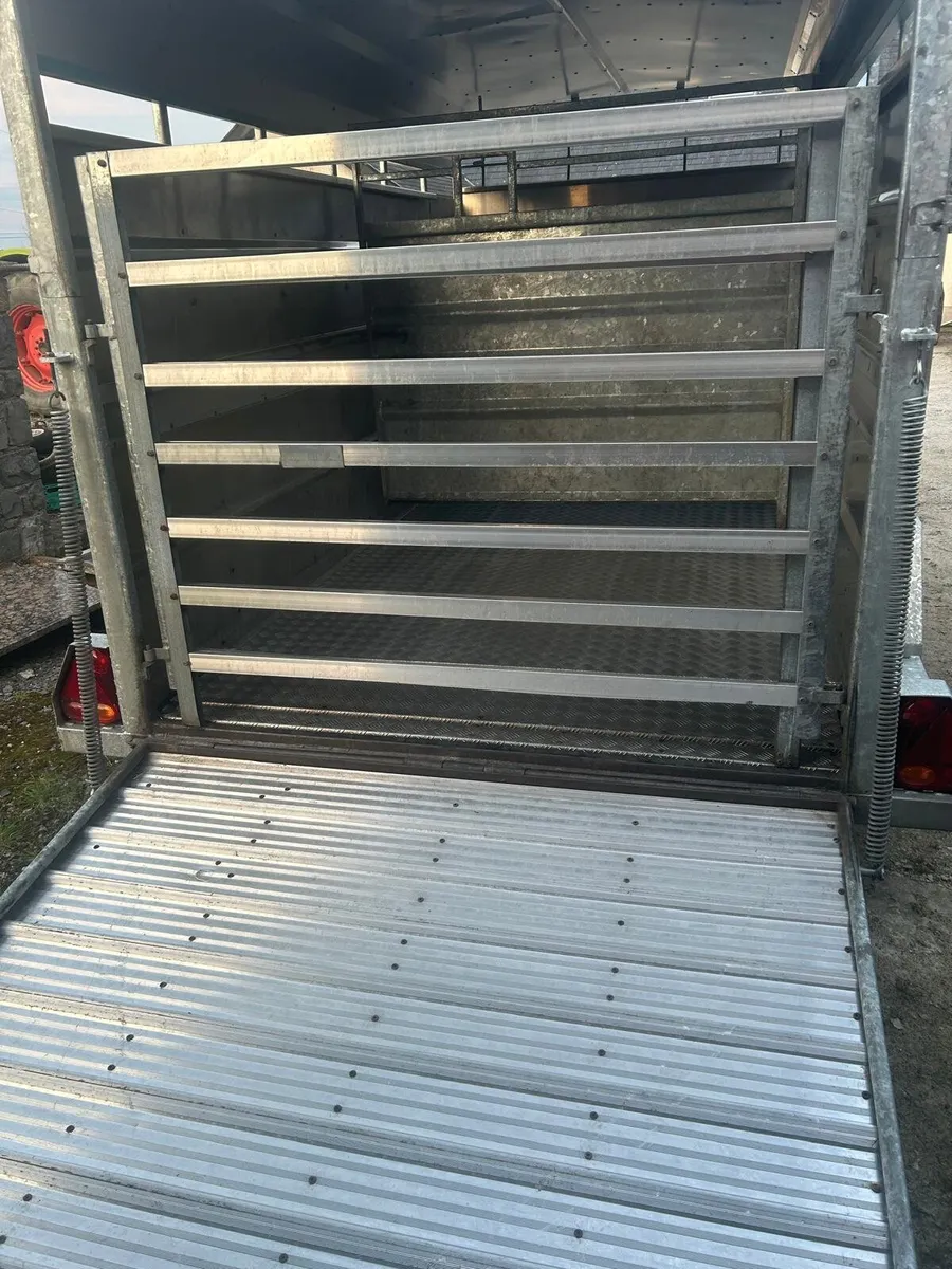 12x6 tuffmac cattle trailer - Image 3