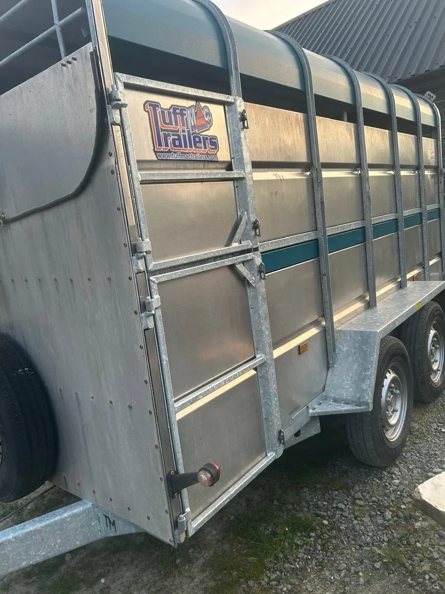 12x6 tuffmac cattle trailer - Image 4
