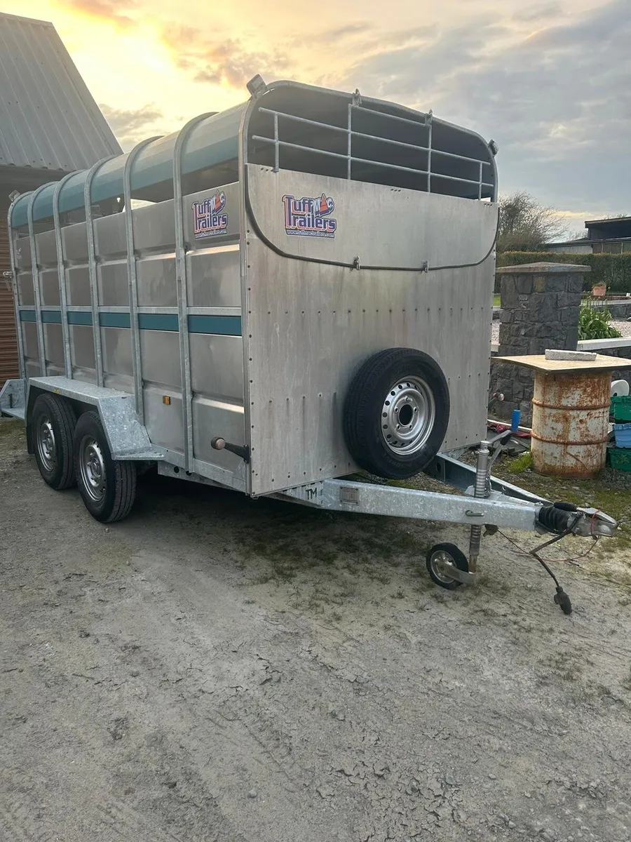 12x6 tuffmac cattle trailer - Image 1