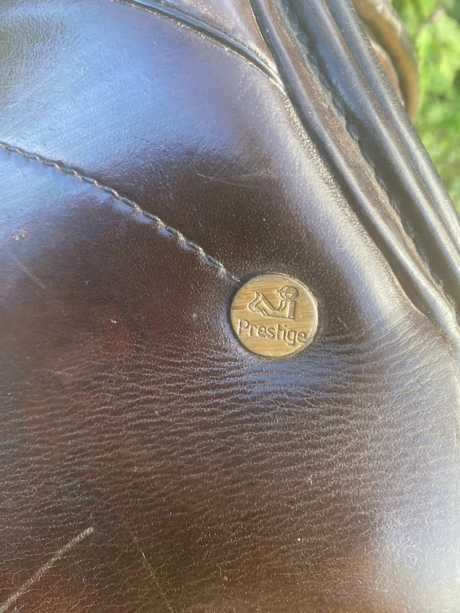 17” prestige Leather saddle - Image 3