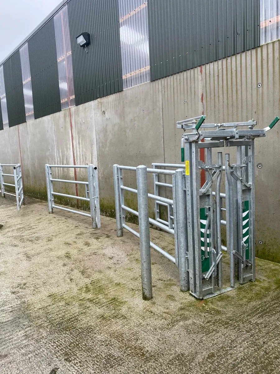 Condon 10ft controlled meal feeder - Image 3
