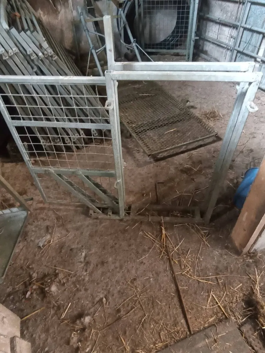 Sheep clearance - Image 4