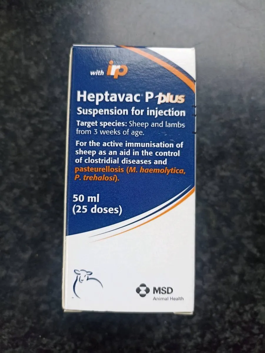 Sheep clearance - Image 2