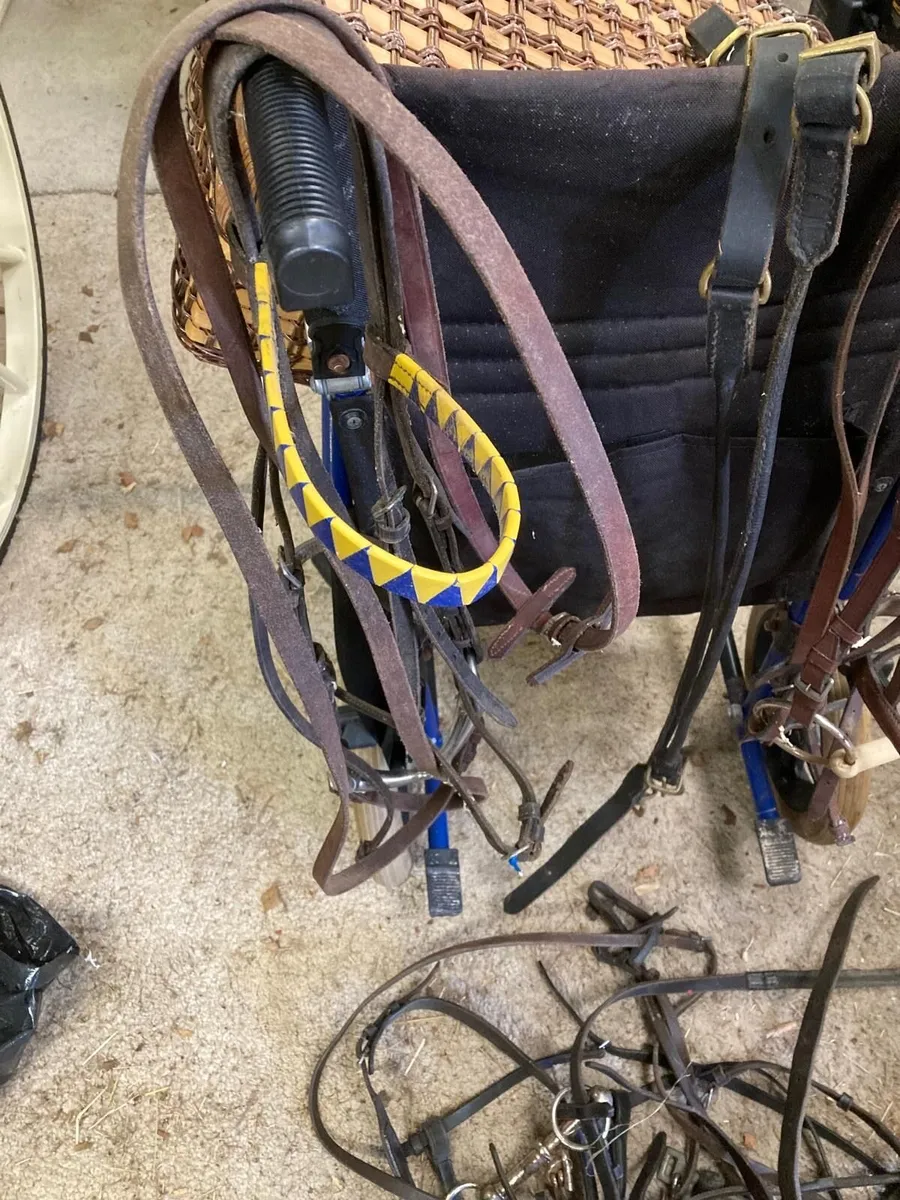 Horse Driving equipment - Image 2