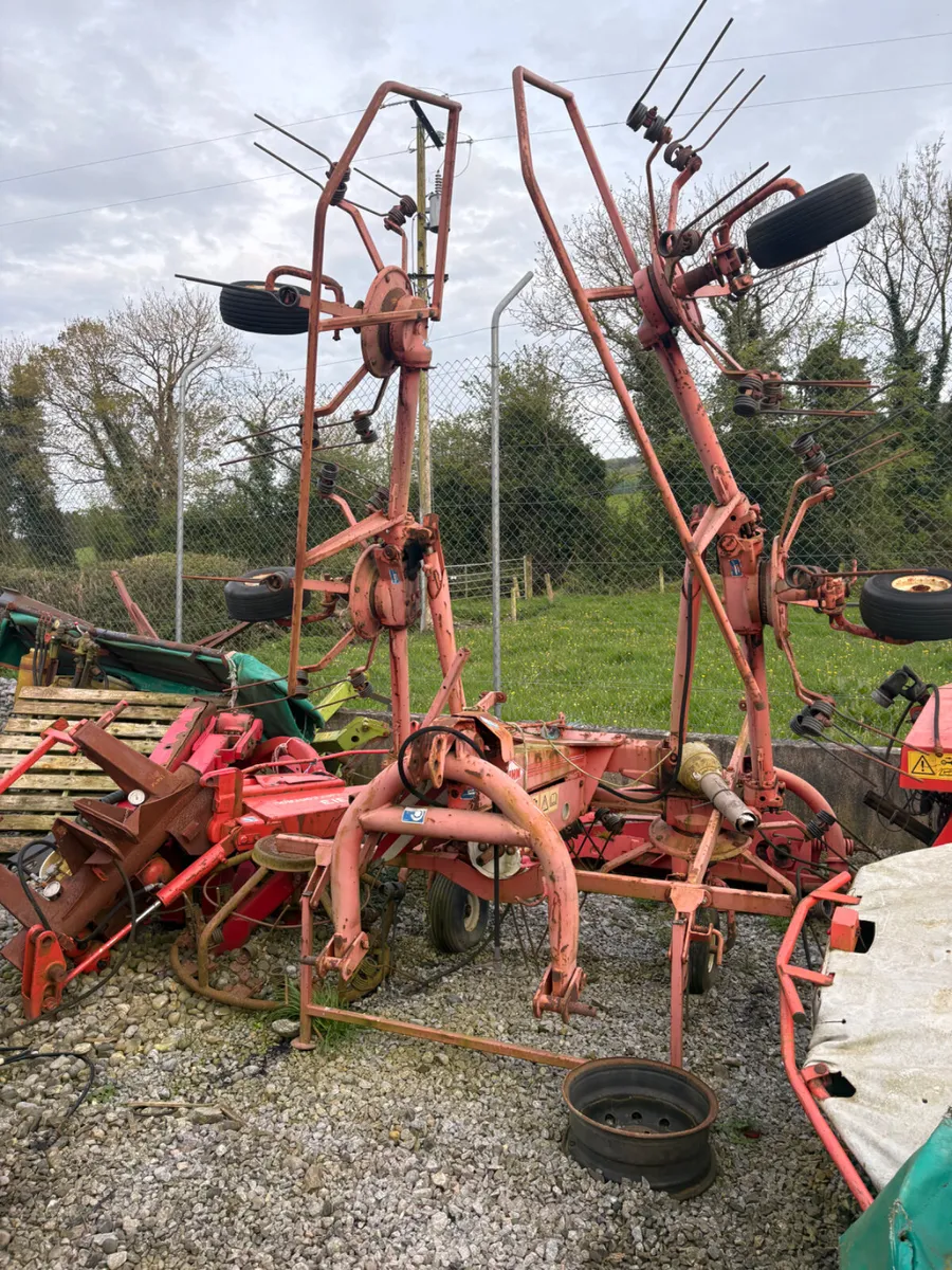 KUHN TEDDER - Image 1