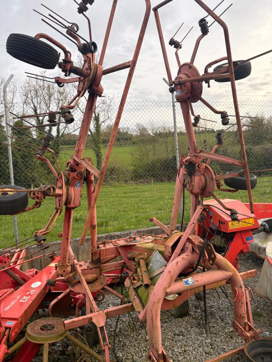 KUHN TEDDER - Image 2