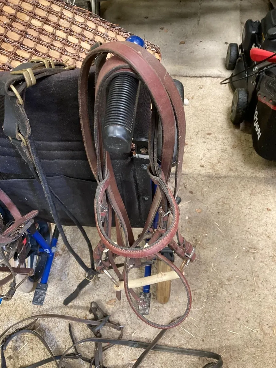 Horse Driving equipment - Image 3
