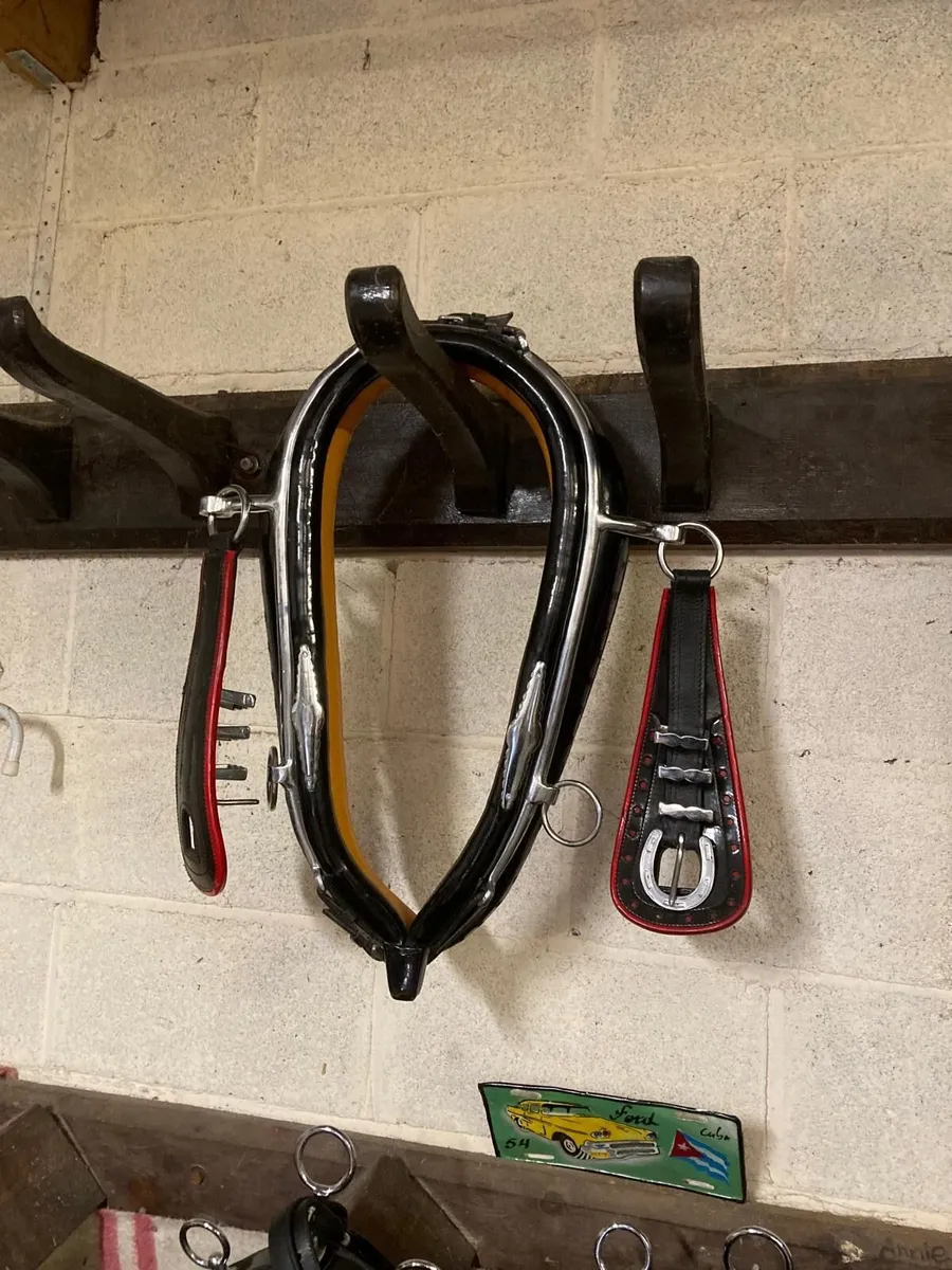 Horse Driving equipment - Image 4