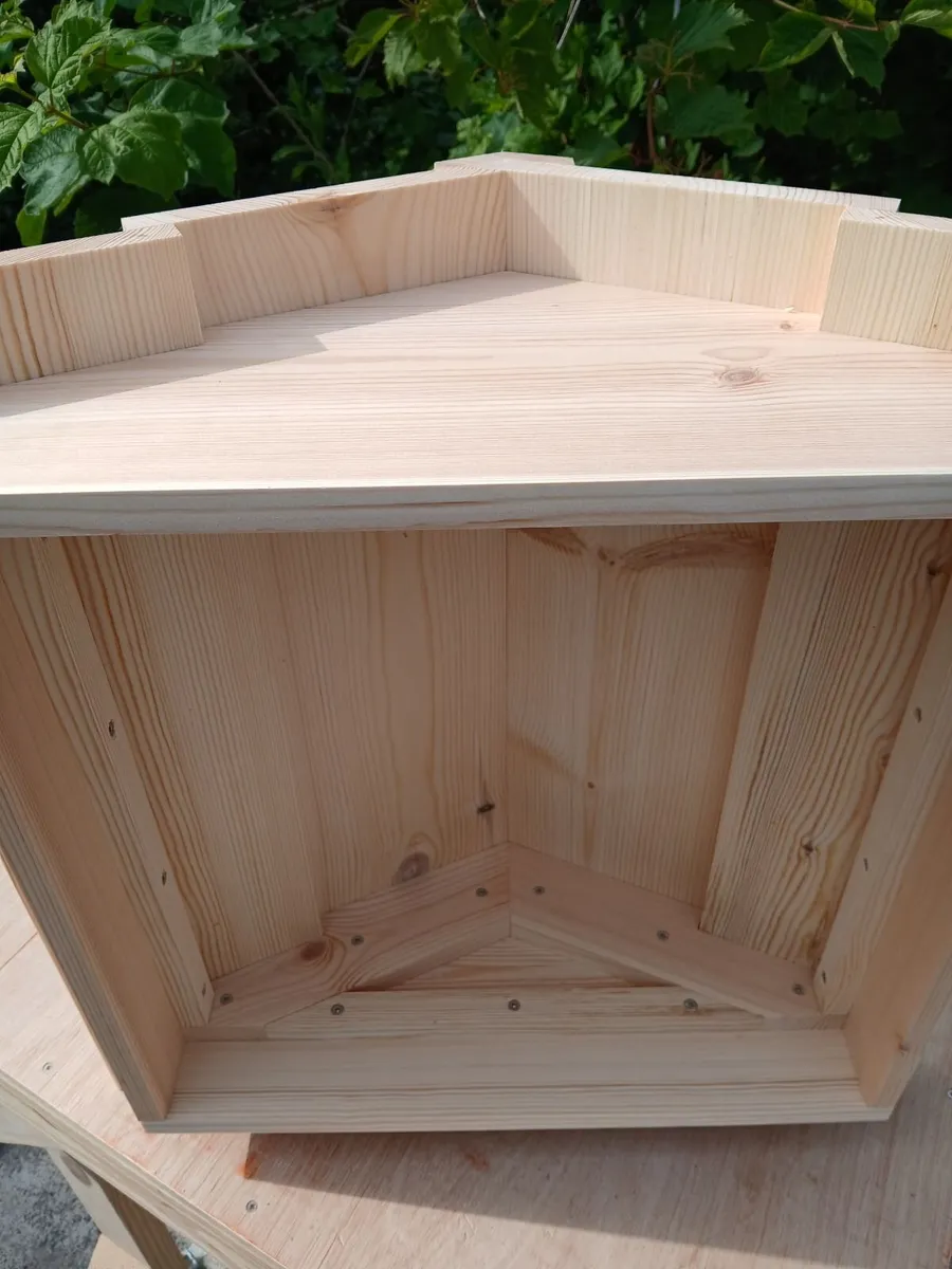 National beehive pine (red deal) - Image 4