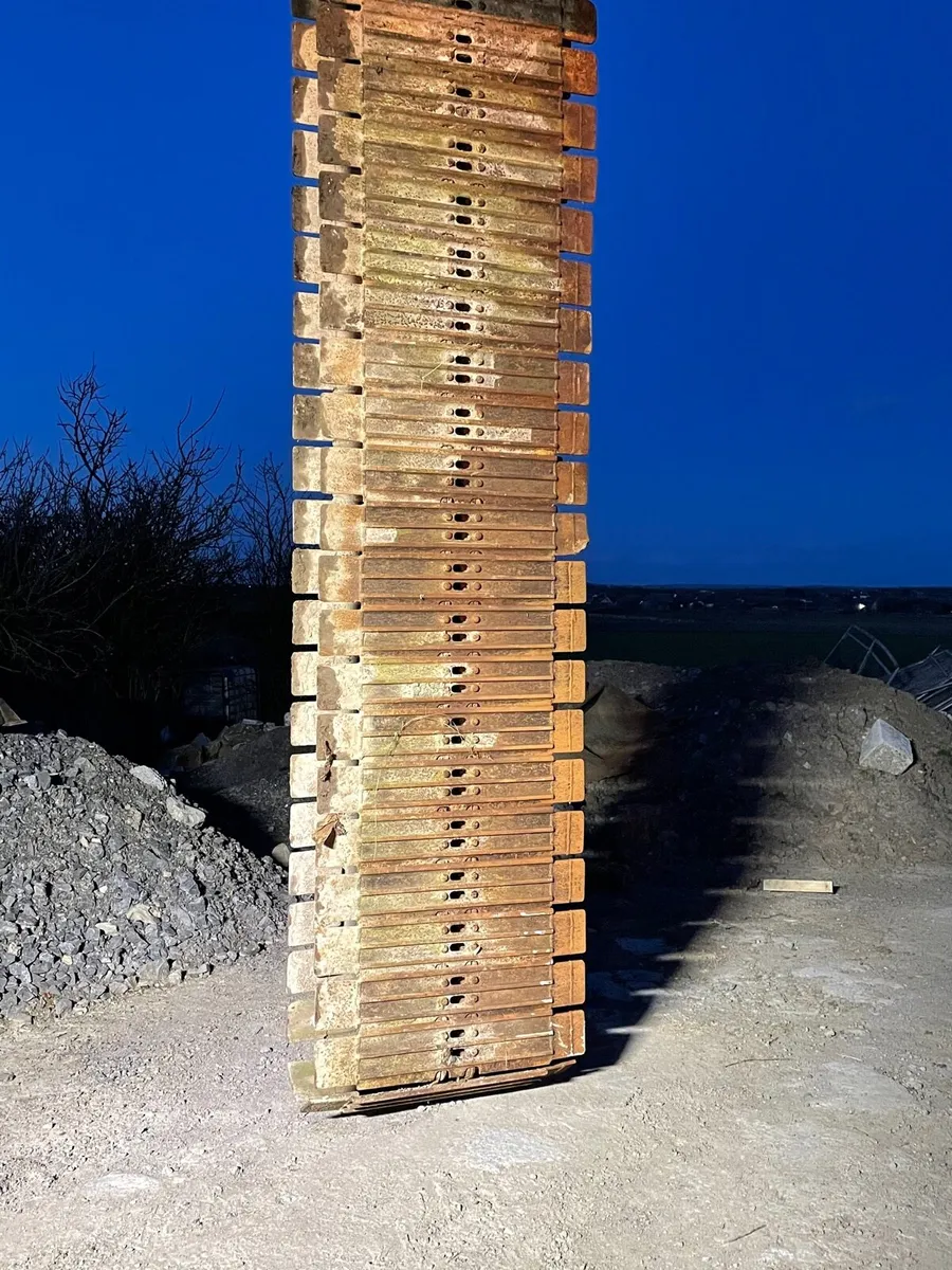 Bog tracks - Image 1