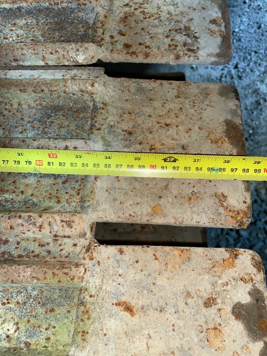 Bog tracks - Image 2