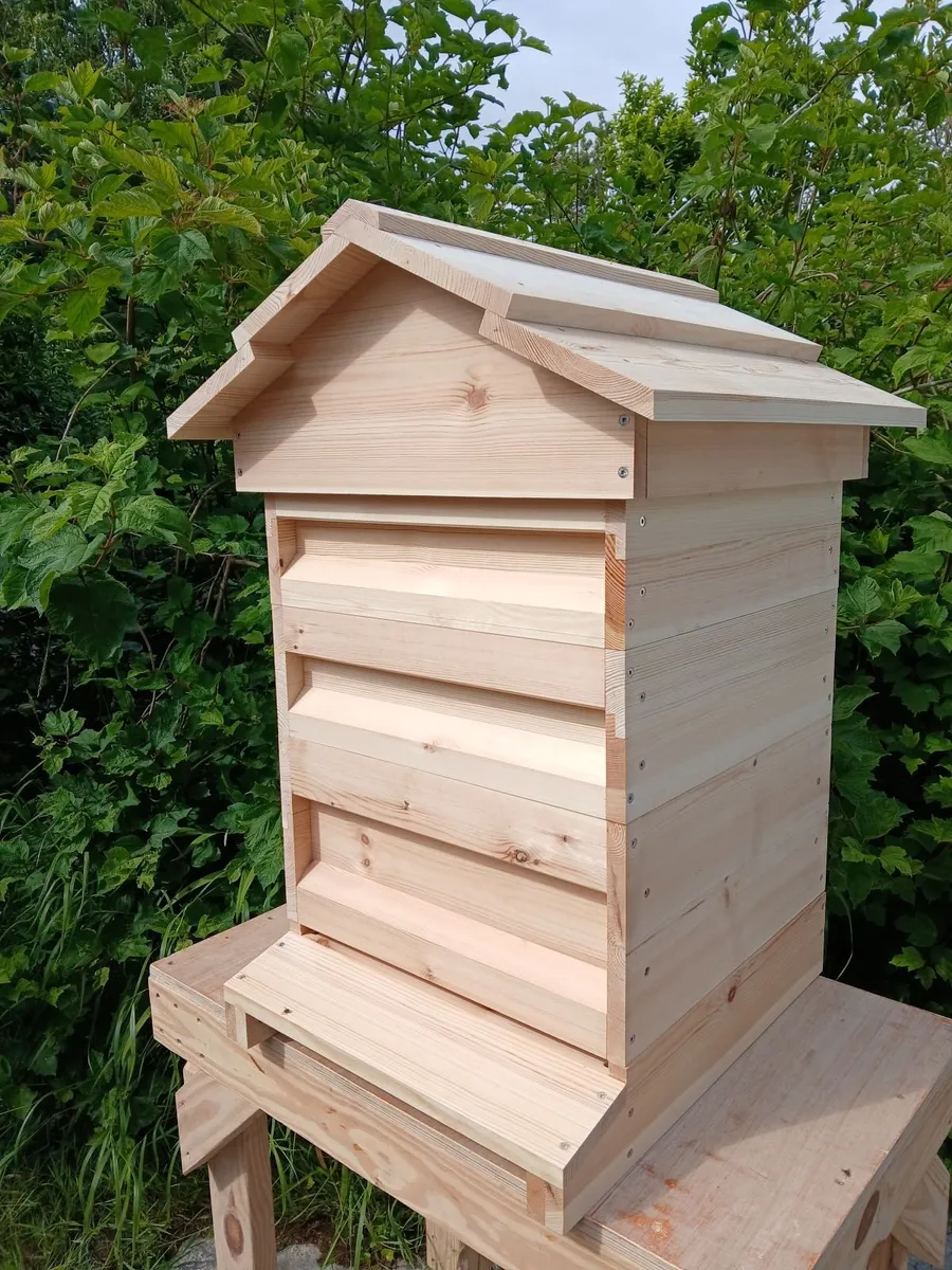 National beehive pine (red deal) - Image 1