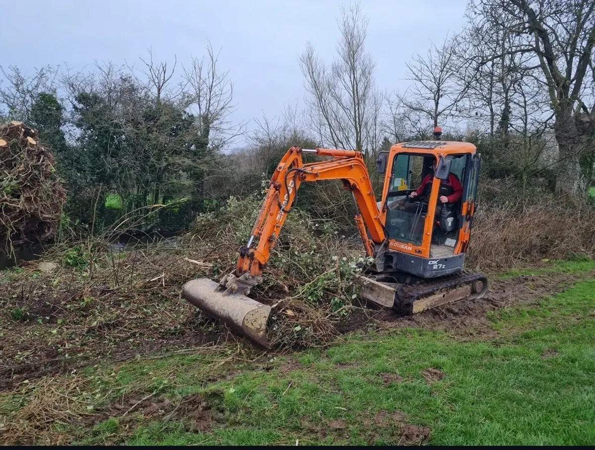 Plant contractor available - Image 2