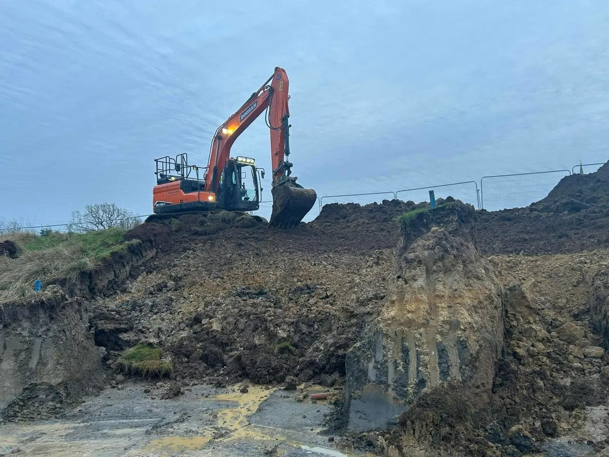 Plant contractor available - Image 3