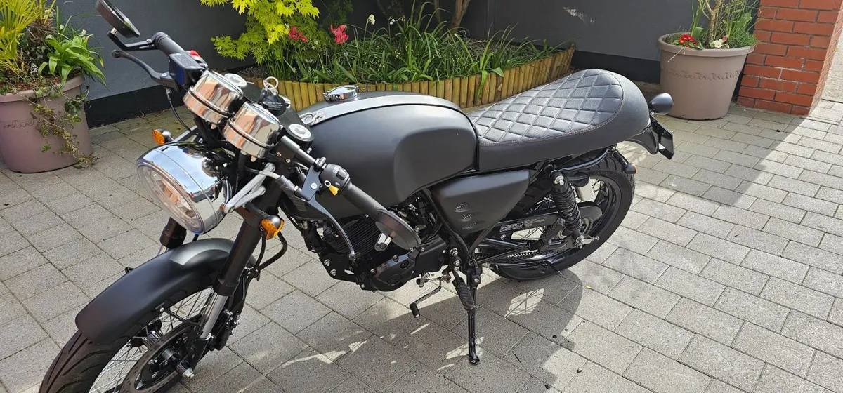 Herald Cafe Racer 125cc - Image 4