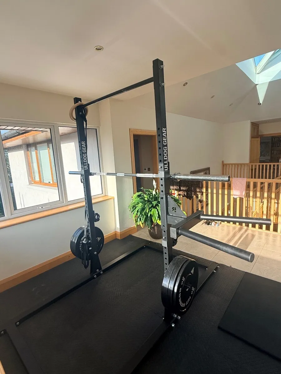 Bulldog Squat Rack and Dip Bar - Image 1