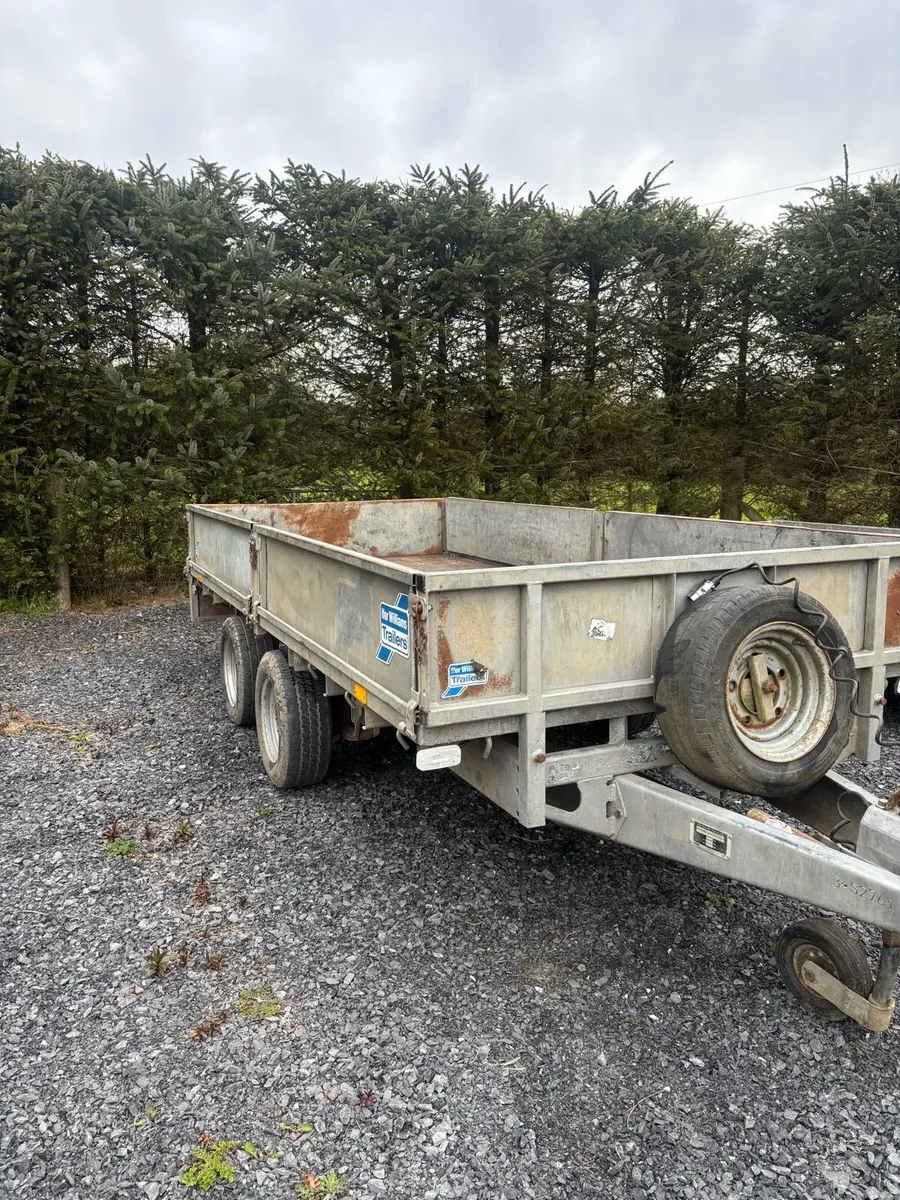 Ifor Williams 12X5 - Image 2