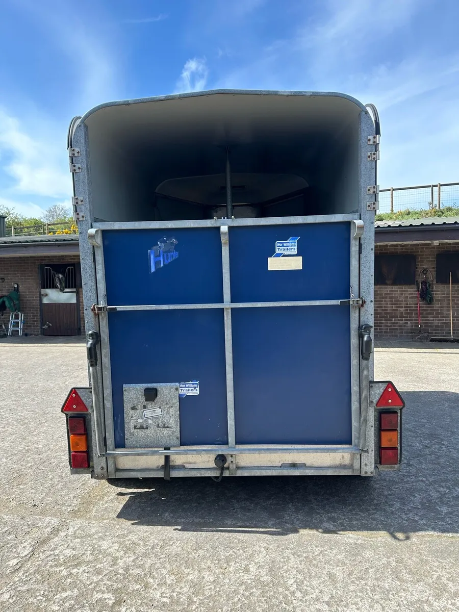 505 Ifor Williams Horsebox - Image 3
