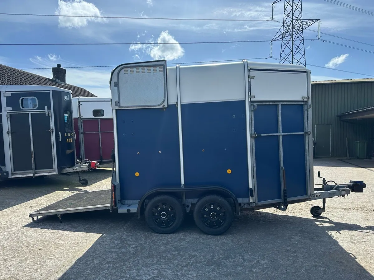 505 Ifor Williams Horsebox - Image 4