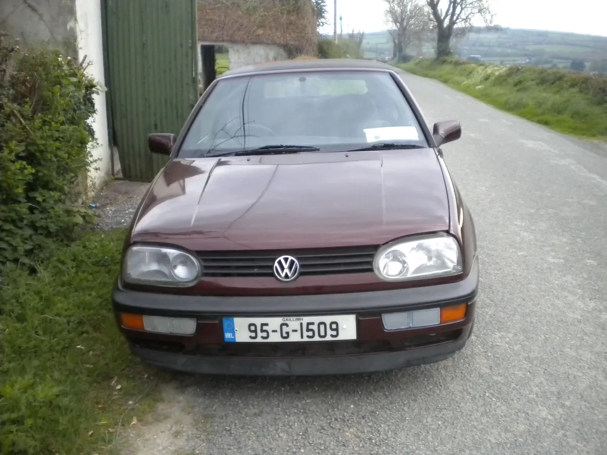 Volkswagen Golf 1995 - Image 1