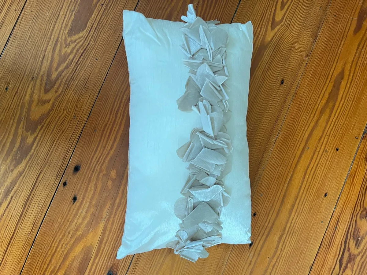 Two cream cushions - Image 1