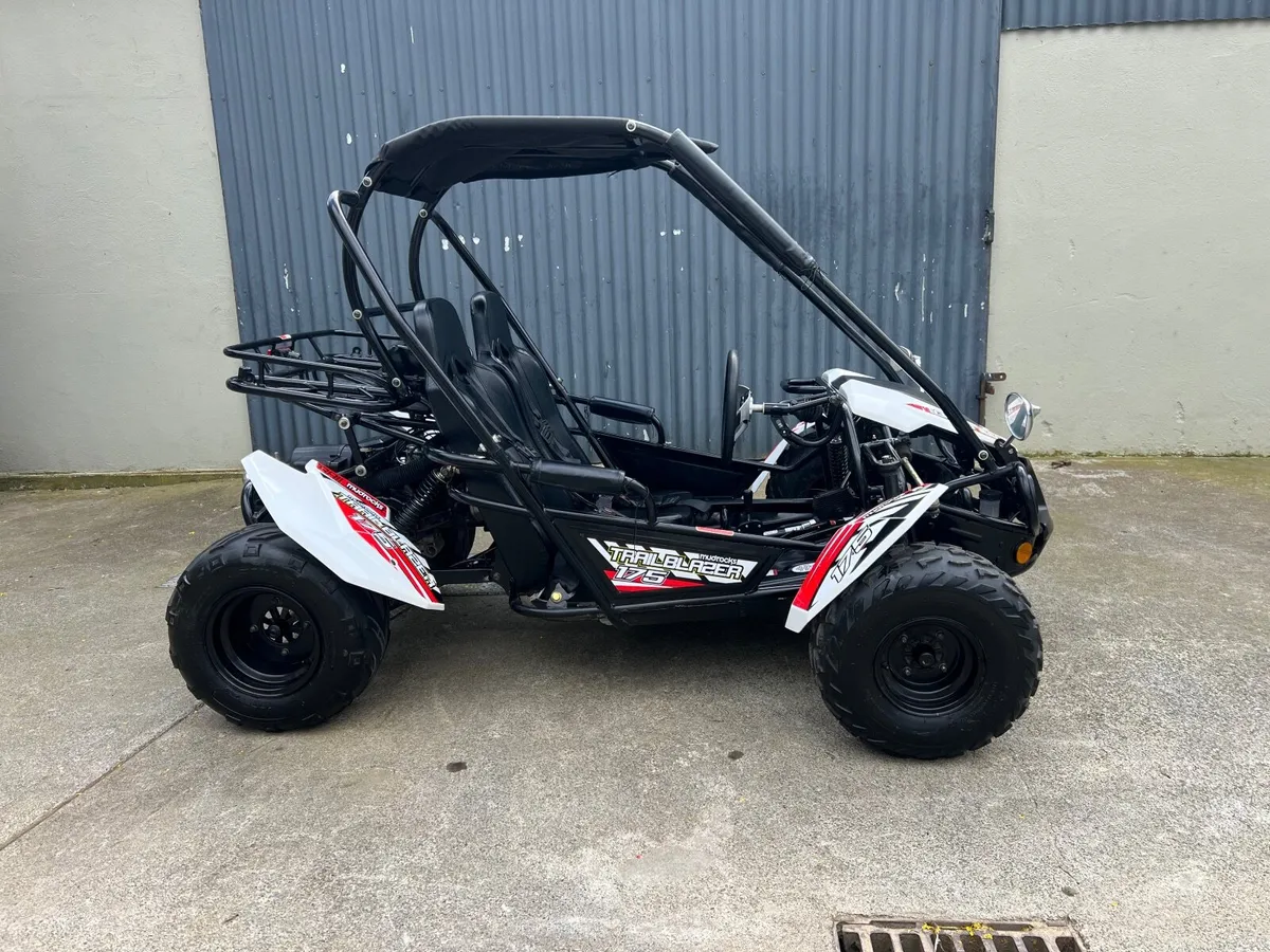 Off road petrol Buggy - Image 1