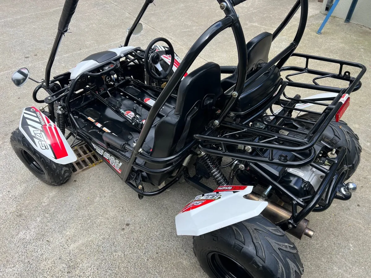 Off road petrol Buggy - Image 3