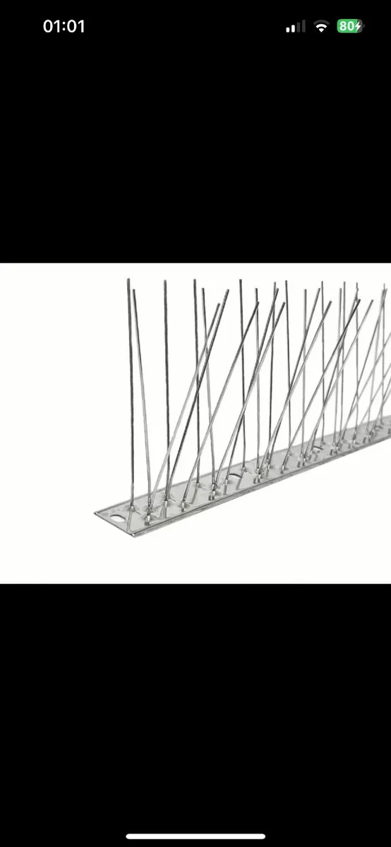 Stainless Steele Bird spikes - Image 2