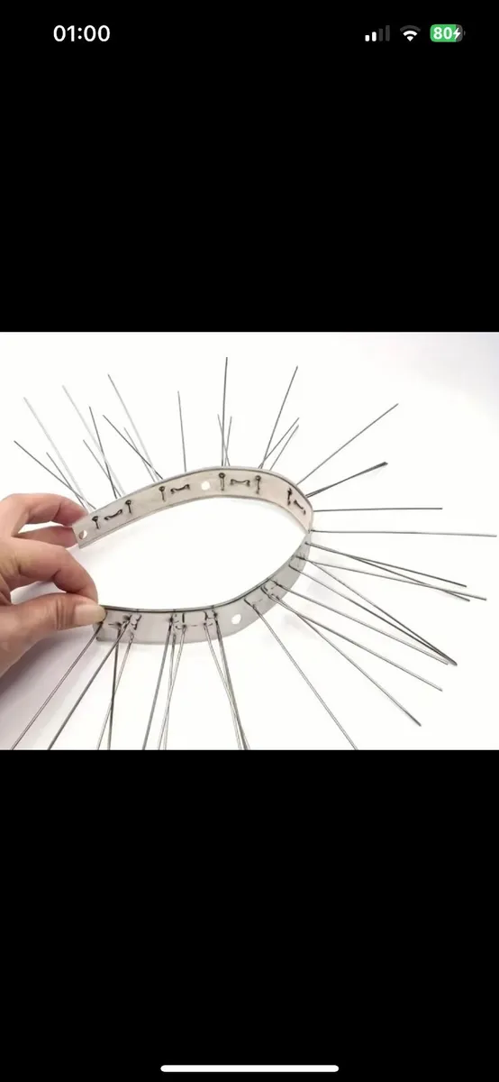 Stainless Steele Bird spikes - Image 3