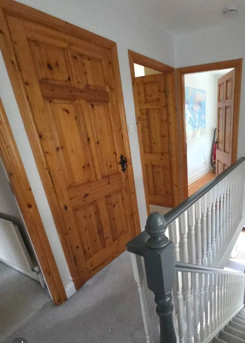 Internal doors - Image 1