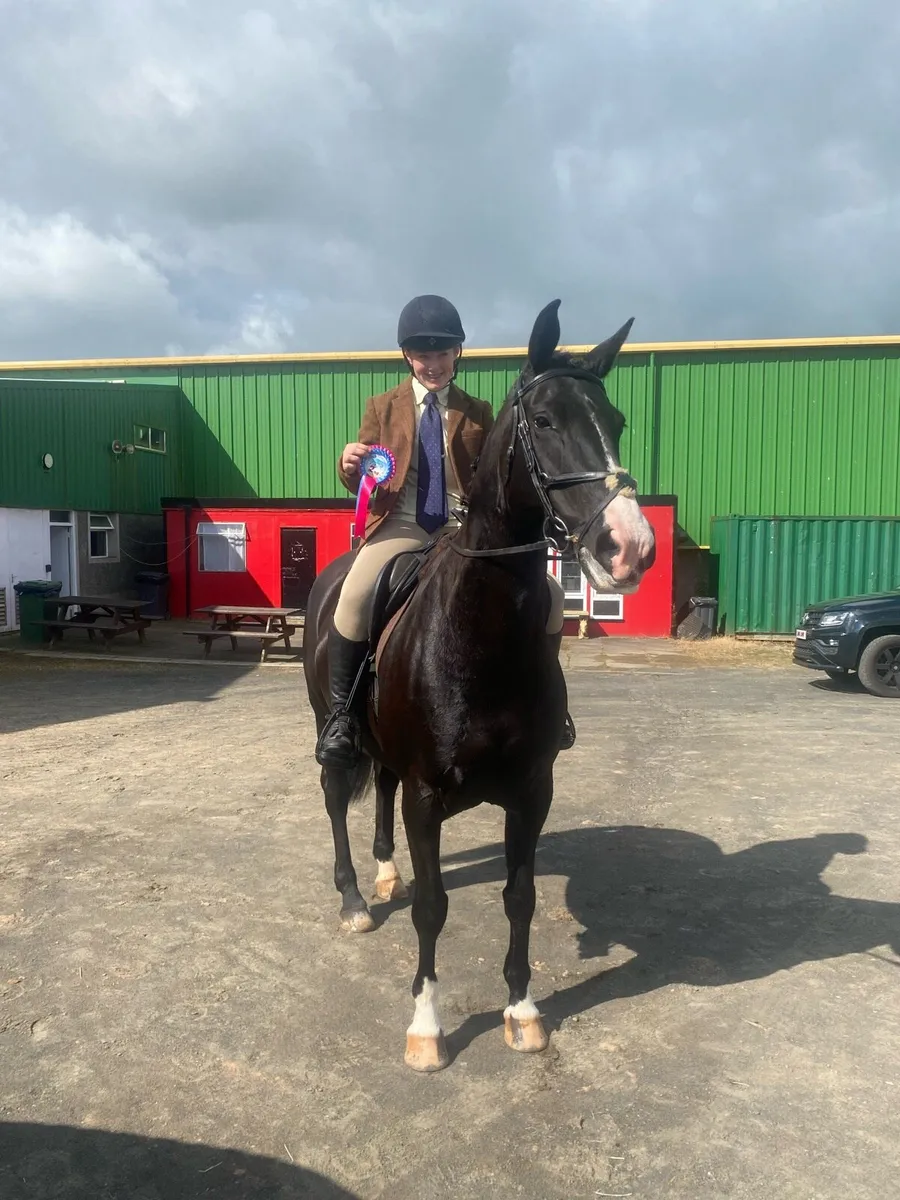 158 Stunning Small Hunter - Image 2