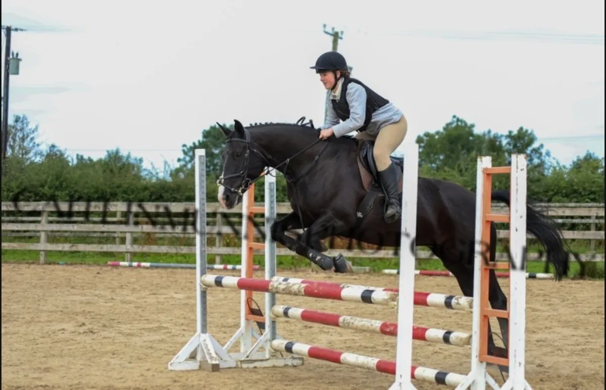 158 Stunning Small Hunter - Image 3