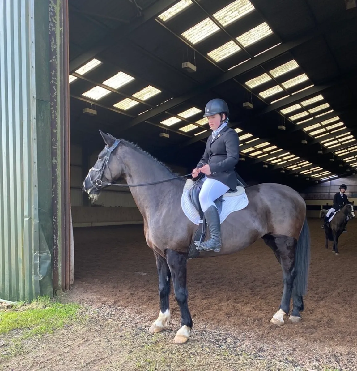 158 Stunning All Rounder - Image 4
